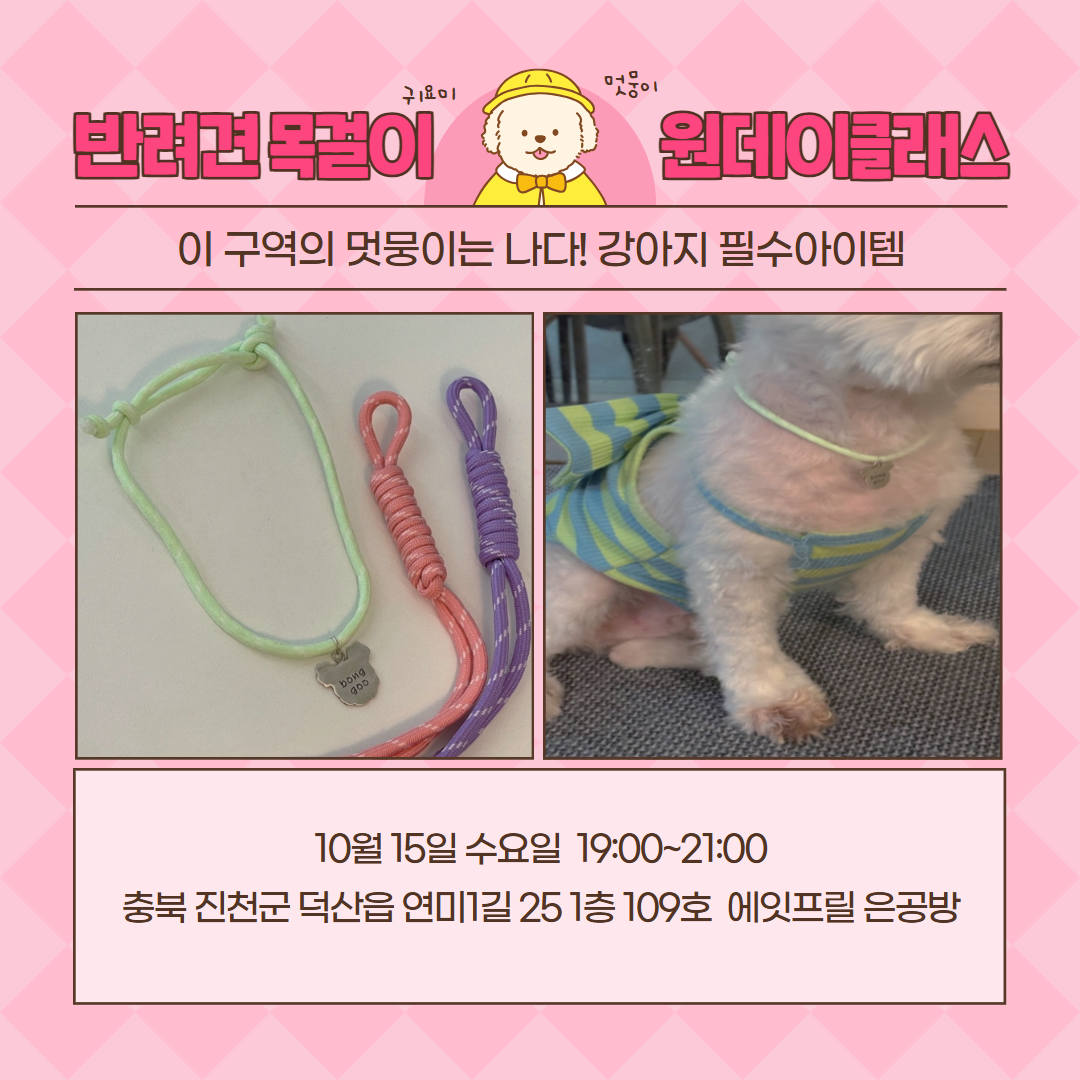 반려견목걸이 게시물